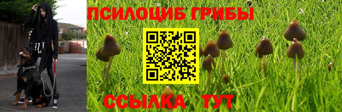 Галлюциногенные грибы мицелий  Вход с VPN  где купить наркоту  Спасск-Дальний 