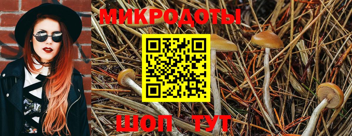 Псилоцибиновые грибы GOLDEN TEACHER Спасск-Дальний